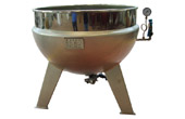 Fixed steam jacketed kettle